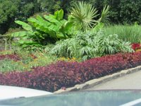 Tail of he Dragon July 2015 573 : Tail of he Dragon July 2015